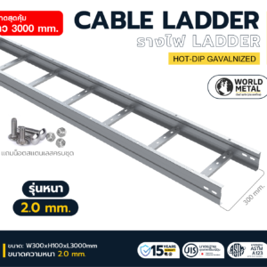 CABLE LADDER – รางเดินสายไฟขั้นบันได ชนิดสำเร็จรูป W300×H100×L3000 หนา 2.0 มม.